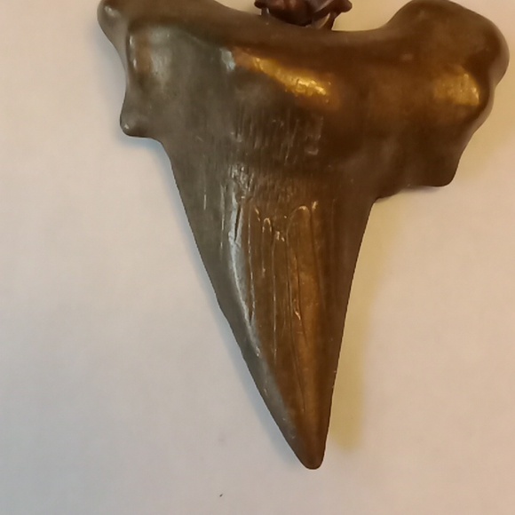 Brass sharks tooth Necklace #816 - Picture 2 of 6